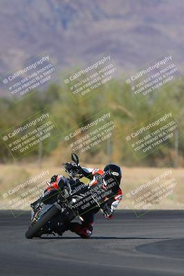 media/Nov-11-2023-SoCal Trackdays (Sat) [[efd63766ff]]/Turn 7 (2pm)/